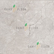 Damy Floor Ascent Пик Лайл/Laila Peak 6210-1 | 