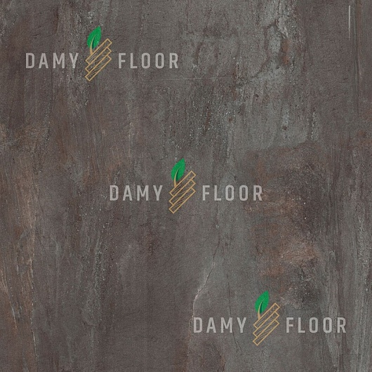 Damy Floor Ascent Вайсхорн/Weisshorn 3053-3